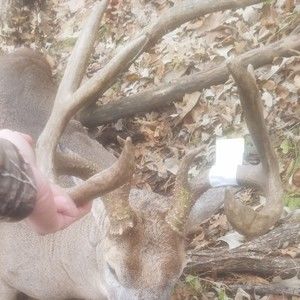 Meet your Posher, Dennis